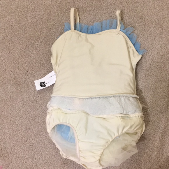 Ballet Spring Recital Costume - Picture 8 of 11